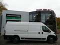 Fiat Ducato Maxi Kasten 35 180 L5H2 AUTOMAT/KLIMAUT/AHK Blanc - thumbnail 15