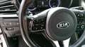 Kia Niro 1.6 HEV Drive Bianco - thumbnail 15