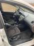 SEAT Altea XL Altea XL Freetrack 2,0 4WD TDi DPF Freetrack Weiß - thumbnail 8