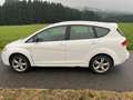 SEAT Altea XL Altea XL Freetrack 2,0 4WD TDi DPF Freetrack Weiß - thumbnail 3