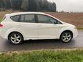 SEAT Altea XL Altea XL Freetrack 2,0 4WD TDi DPF Freetrack Weiß - thumbnail 1