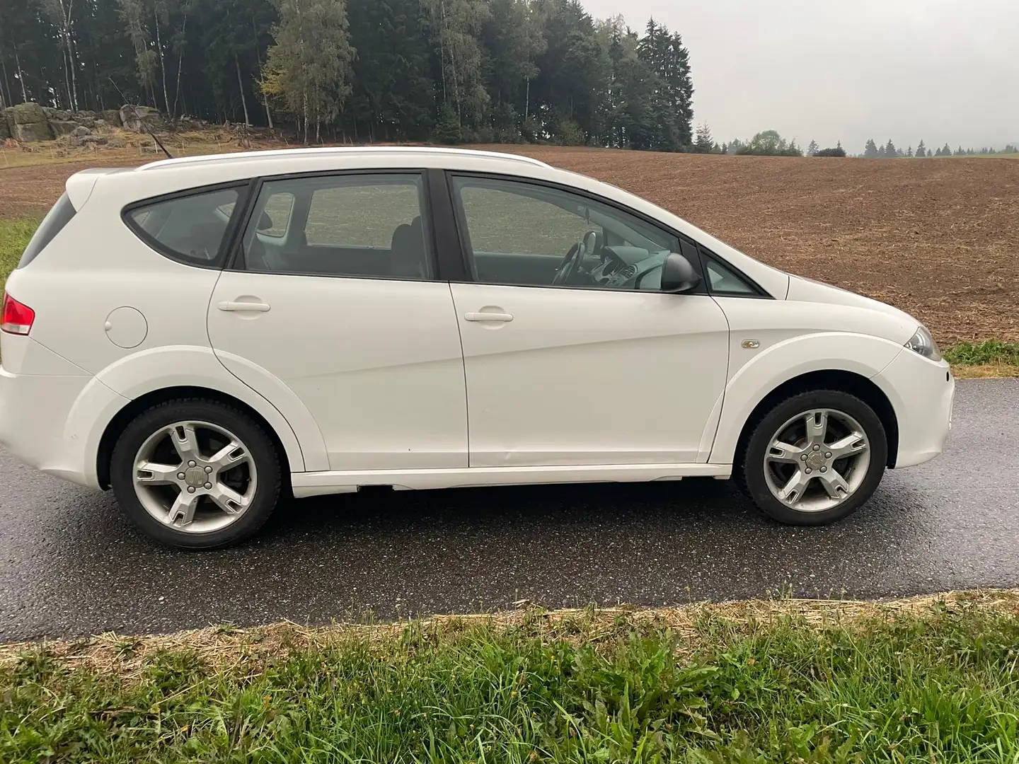 SEAT Altea XL Altea XL Freetrack 2,0 4WD TDi DPF Freetrack Weiß - 1