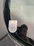 SEAT Altea XL Altea XL Freetrack 2,0 4WD TDi DPF Freetrack Weiß - thumbnail 5