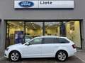 Skoda Octavia Combi Style 1,0TSI Weiß - thumbnail 1