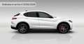 Alfa Romeo Stelvio 2.2 Turbodiesel 210 CV AT8 Q4 Sprint Argento - thumbnail 5