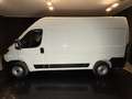 Fiat Ducato (Prezzo Iva Escl.) 33 2.2 Mjt 140CV PM-TM Furgone Weiß - thumbnail 8