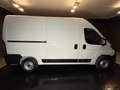 Fiat Ducato (Prezzo Iva Escl.) 33 2.2 Mjt 140CV PM-TM Furgone Weiß - thumbnail 4