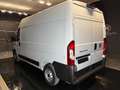 Fiat Ducato (Prezzo Iva Escl.) 33 2.2 Mjt 140CV PM-TM Furgone Weiß - thumbnail 5