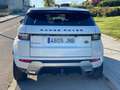 Land Rover Range Rover Evoque 2.0 Si4 SE 4WD Aut. Blanc - thumbnail 10