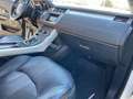 Land Rover Range Rover Evoque 2.0 Si4 SE 4WD Aut. Weiß - thumbnail 14