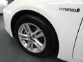 Toyota Corolla Touring Sports 1.8 Hybrid Active NAVI-APP/CLIMA/CA Weiß - thumbnail 30