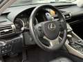 Lexus IS 300 300h Luxury Line | Schuifdak, Mark Levinson, F Spo Gris - thumbnail 18