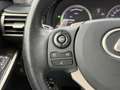Lexus IS 300 300h Luxury Line | Schuifdak, Mark Levinson, F Spo Gris - thumbnail 23