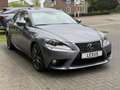 Lexus IS 300 300h Luxury Line | Schuifdak, Mark Levinson, F Spo Gris - thumbnail 7