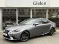 Lexus IS 300 300h Luxury Line | Schuifdak, Mark Levinson, F Spo Gris - thumbnail 1