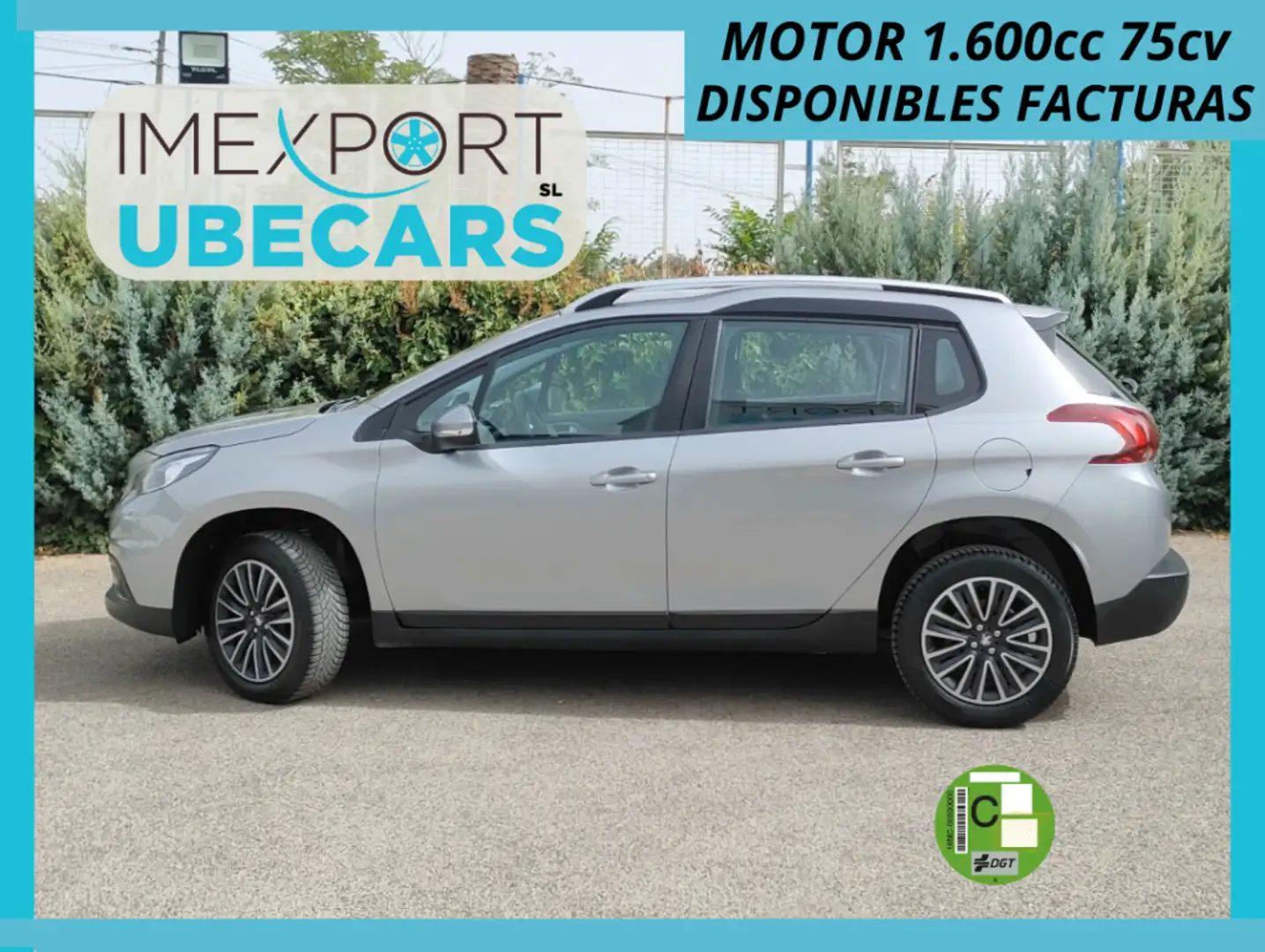 Peugeot 2008 1.6 BlueHDI Active 100 Gris - 1