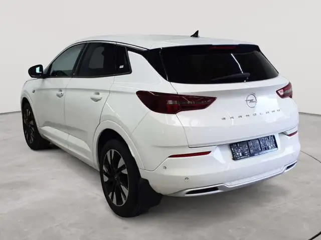 Opel Grandland view 5