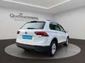 Volkswagen Tiguan Life 4Motion TDI DSG Navi AHK MatrixLED Weiß - thumbnail 6
