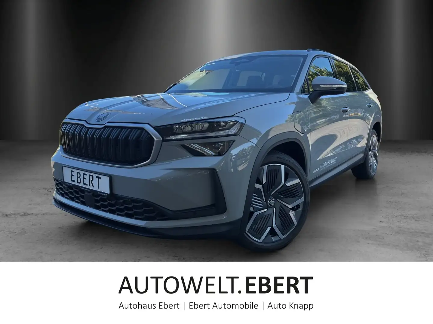 Skoda Kodiaq Selection 1,5 TSI iV 150 kW DSG Grau - 1