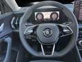Skoda Kodiaq Selection 1,5 TSI iV 150 kW DSG Grau - thumbnail 7