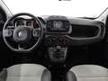 Fiat Panda Cross 1.0 Gse 51kw (70CV) Rouge - thumbnail 7