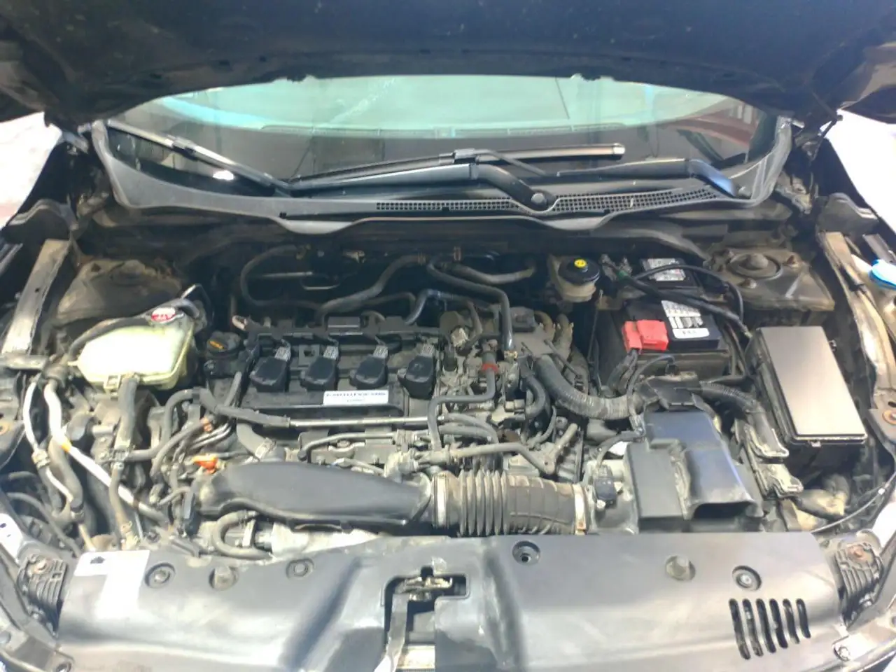 Honda Civic photo Honda Civic
