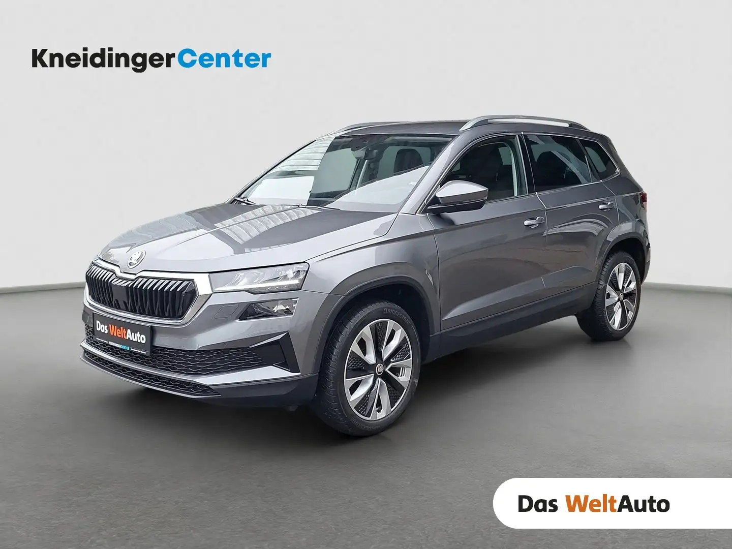 Skoda Karoq Selection TSI DSG ACT Grau - 1