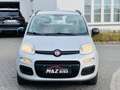 Fiat Panda Panda 0.9 turbo * gekeurd voor verkoop * - thumbnail 2
