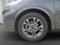 Ford Kuga ST-Line X | ACC | PANO | AHK | KAMERA Gris - thumbnail 9