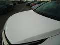Kia Sportage 1.6 T-GDi MHEV Drive 150 Blanco - thumbnail 13