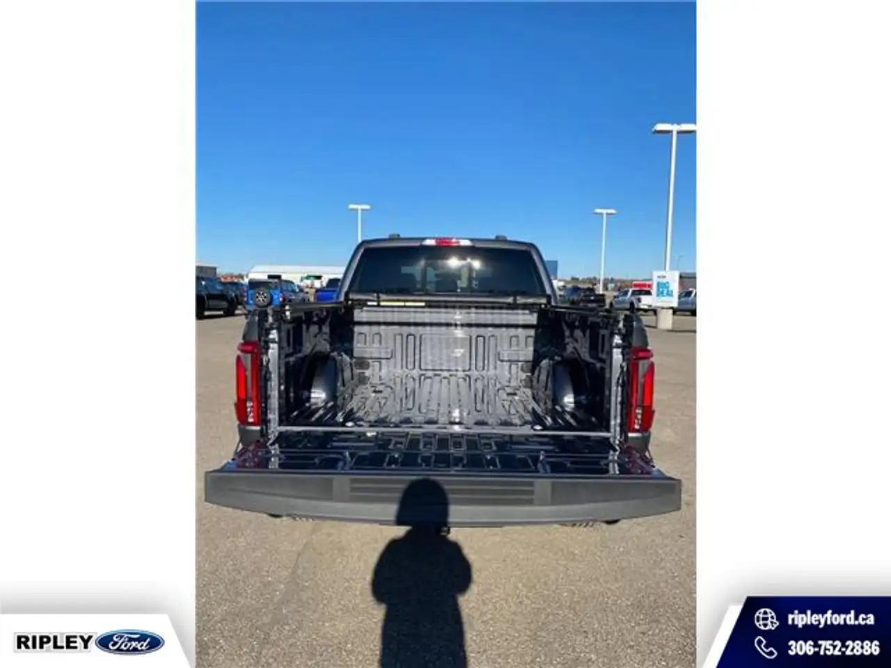 Ford F 150 photo Ford F 150