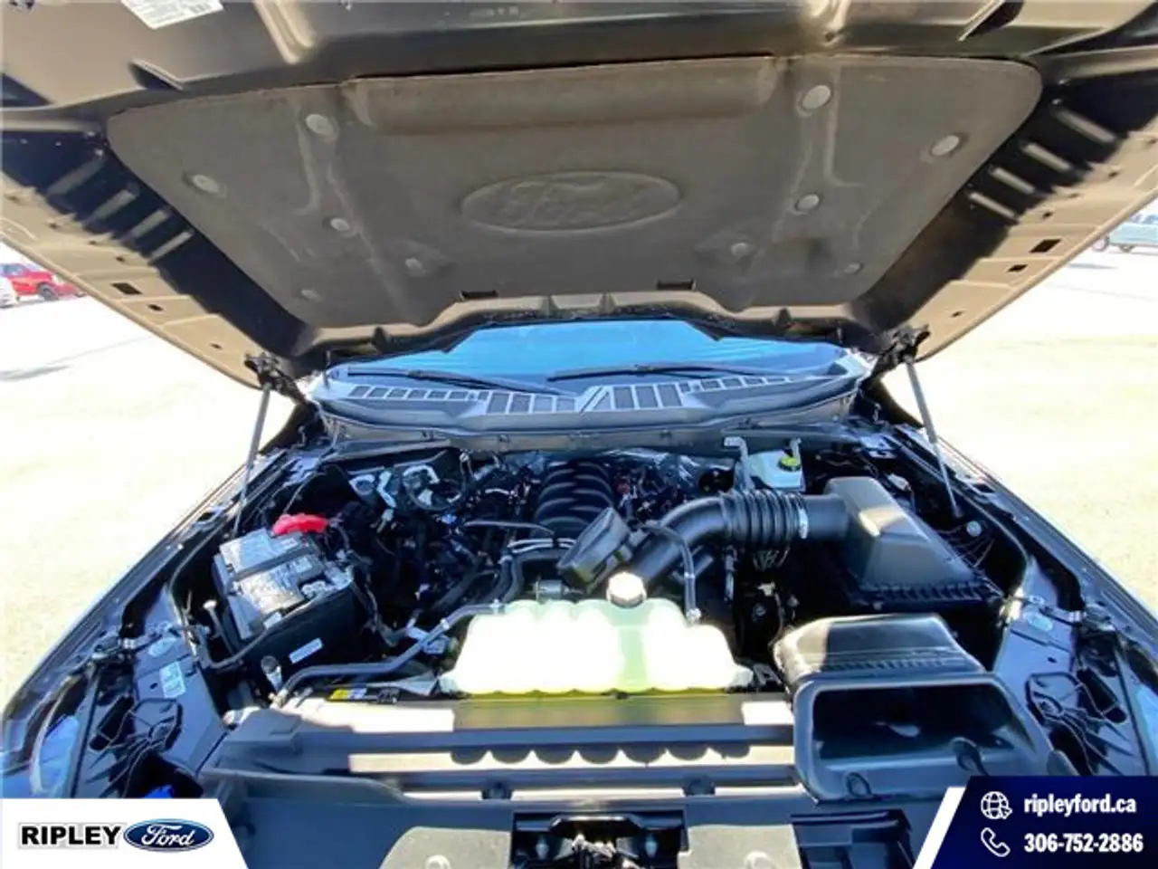 Ford F 150 photo Ford F 150