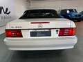 Mercedes-Benz SL 500 SL500/Leder/H-Kennz./Klimaautom./Memory/Hardtop Weiß - thumbnail 6