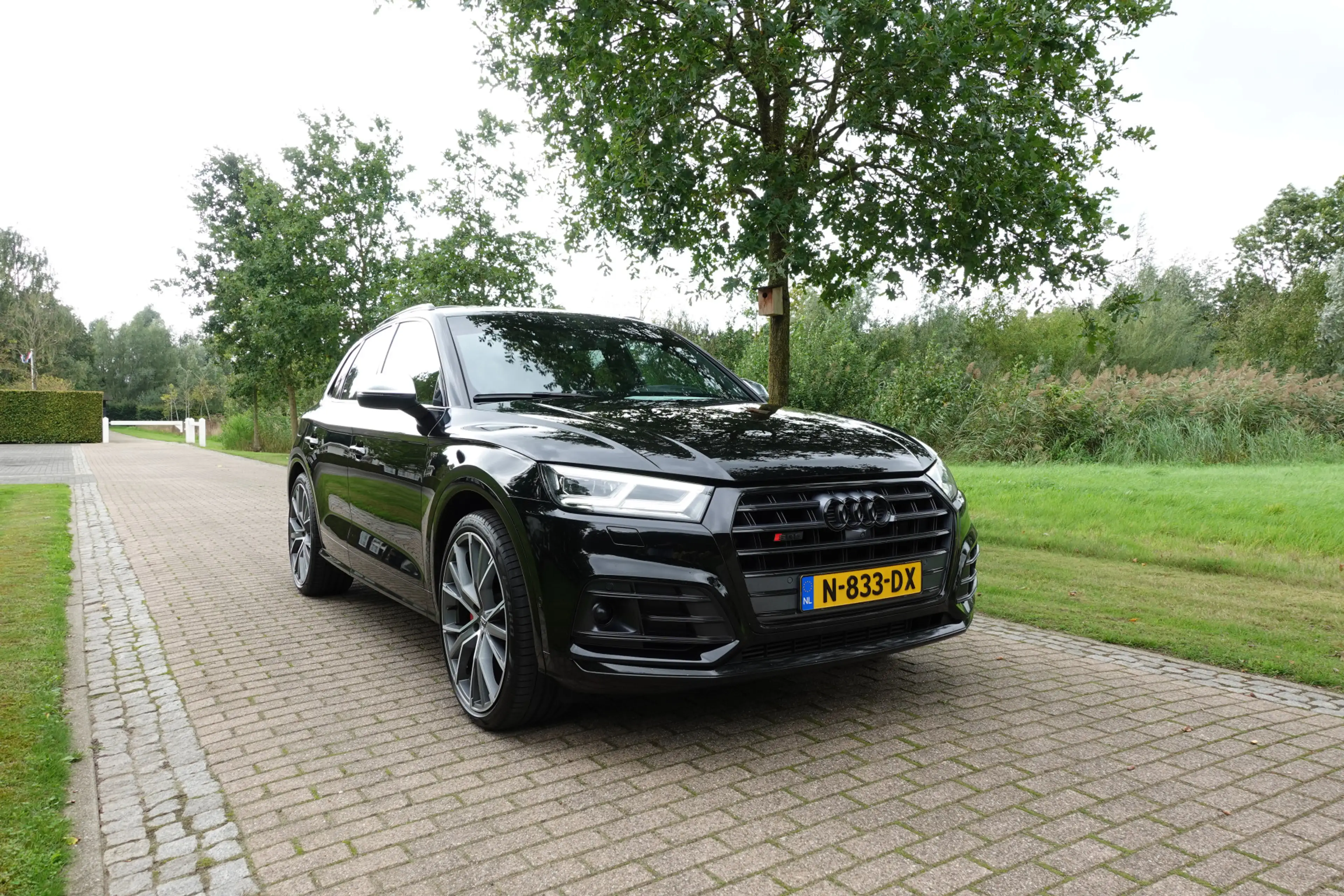 Audi SQ5 3.0 TFSI SQ5 quattro Pro Line Plus | 360° Camera | — photo 5