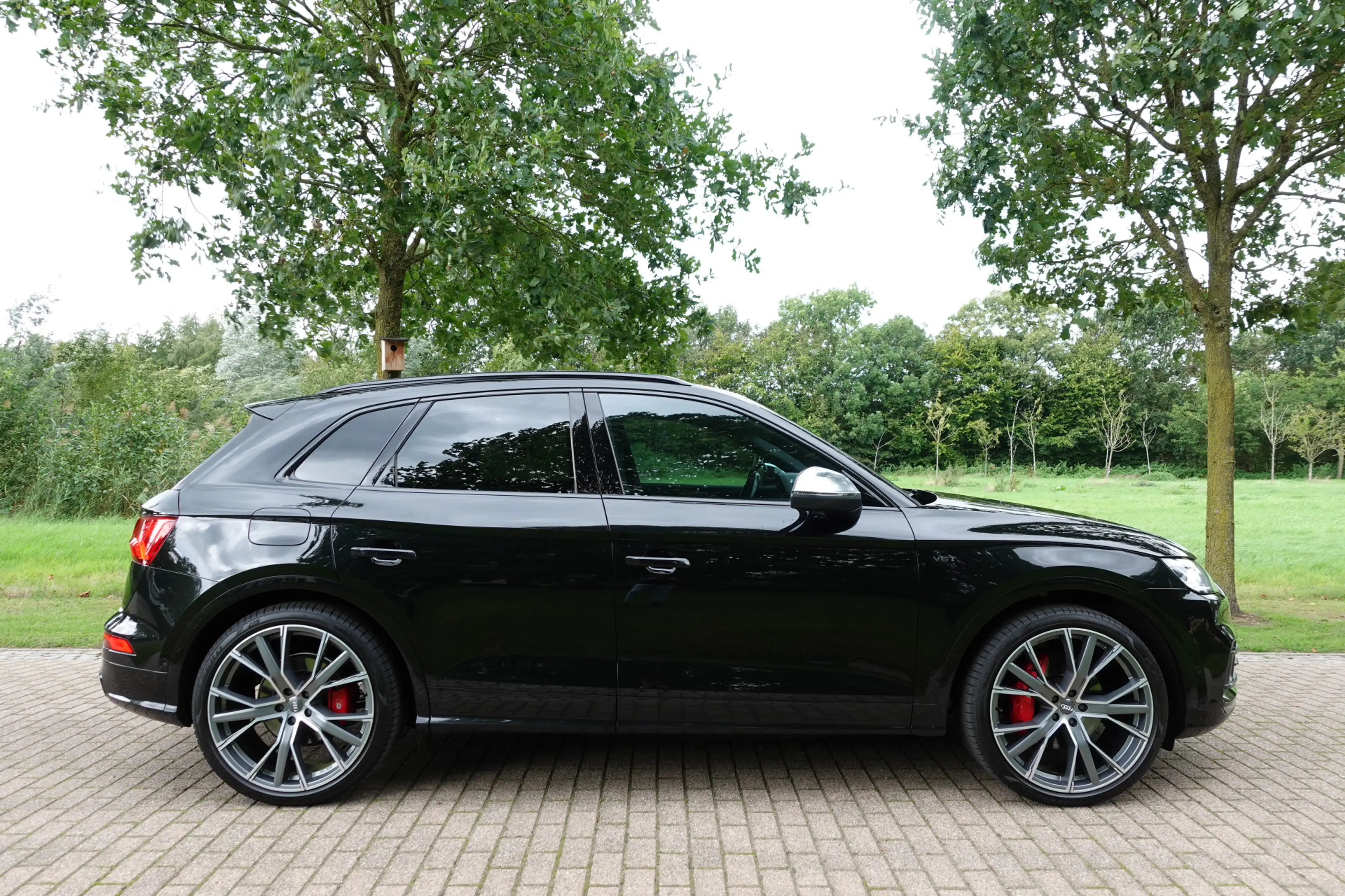 Audi SQ5 3.0 TFSI SQ5 quattro Pro Line Plus | 360° Camera | — photo 6