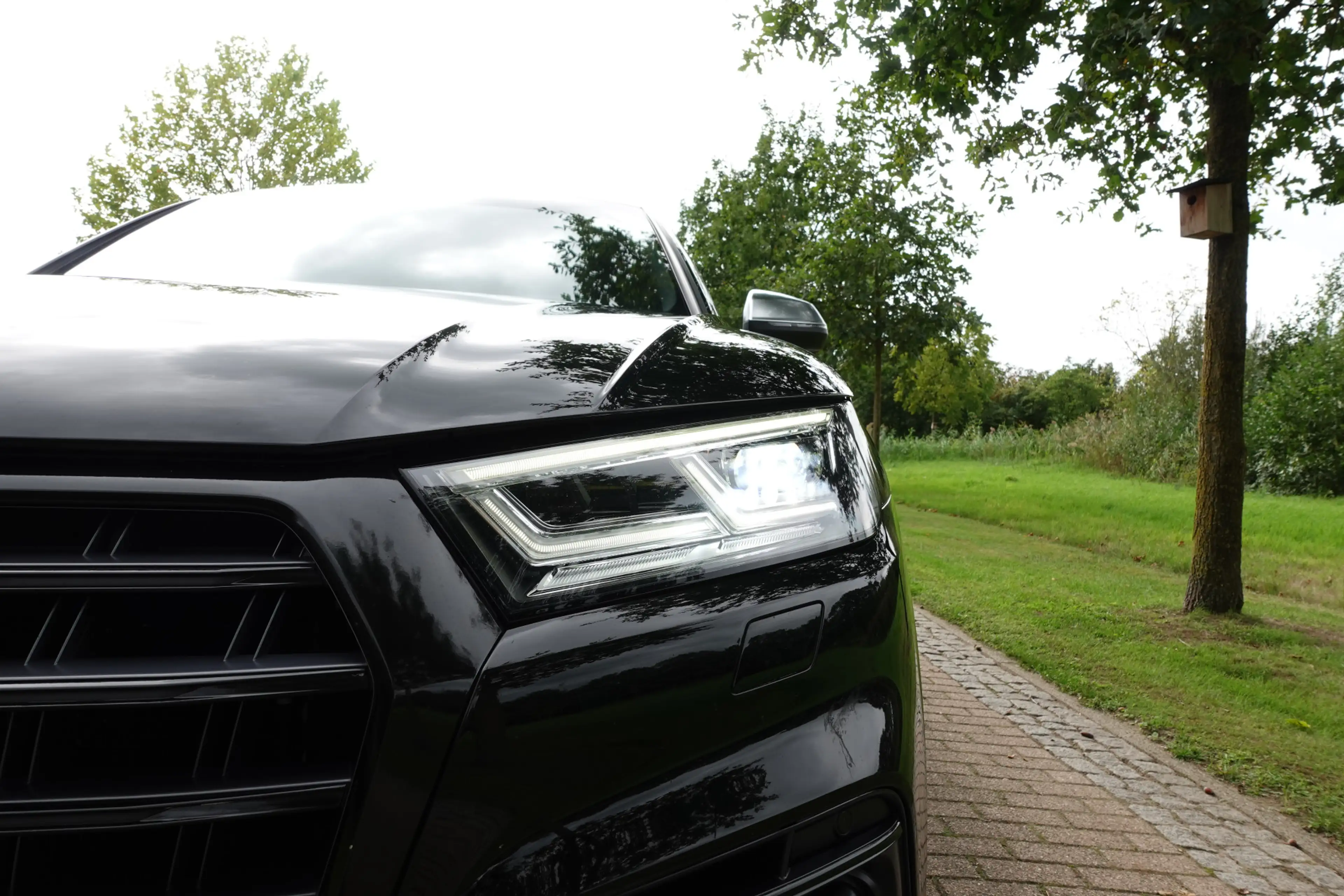 Audi SQ5 3.0 TFSI SQ5 quattro Pro Line Plus | 360° Camera | — photo 21