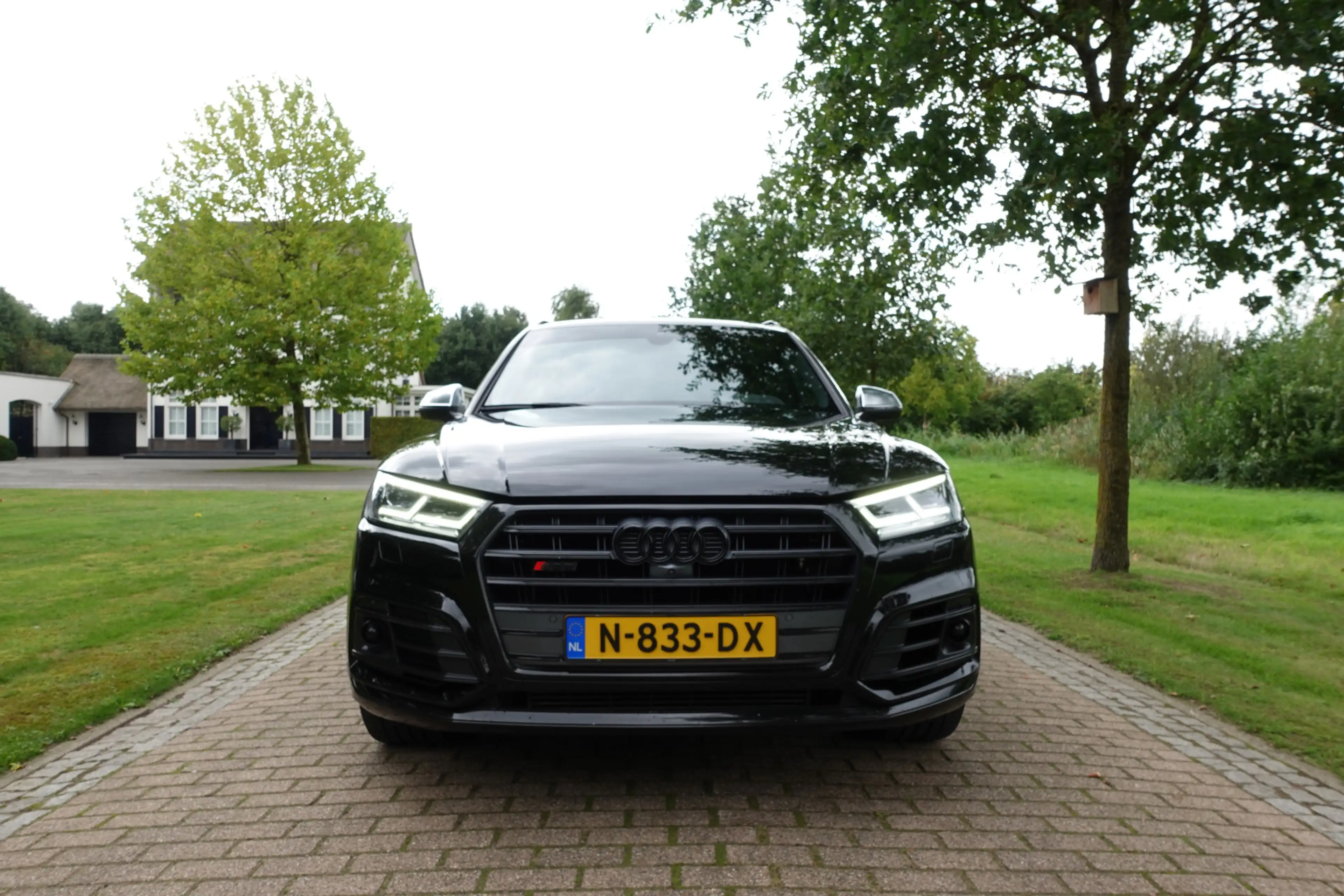 Audi SQ5 3.0 TFSI SQ5 quattro Pro Line Plus | 360° Camera | — photo 3