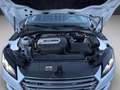 Audi TTS Audi TTS Roadster 2.0 TFSI 310 CV S tronic quattro Bianco - thumbnail 14
