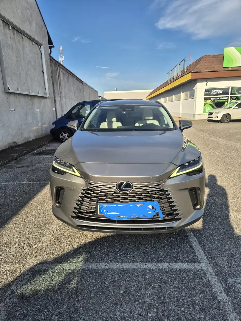 Lexus RX 350h E-four Business Line Aut. - 2