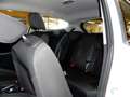 Ford Fiesta 1.0l EcoBoost Titanium/LED/Ambiente/Euro6 Blanc - thumbnail 12