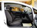 Ford Fiesta 1.0l EcoBoost Titanium/LED/Ambiente/Euro6 Blanc - thumbnail 11