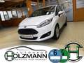 Ford Fiesta 1.0l EcoBoost Titanium/LED/Ambiente/Euro6 Blanc - thumbnail 1