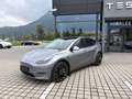 Tesla Model Y Model Y AWD PERFORMANCE MwSt. ausweisbar Silber - thumbnail 1