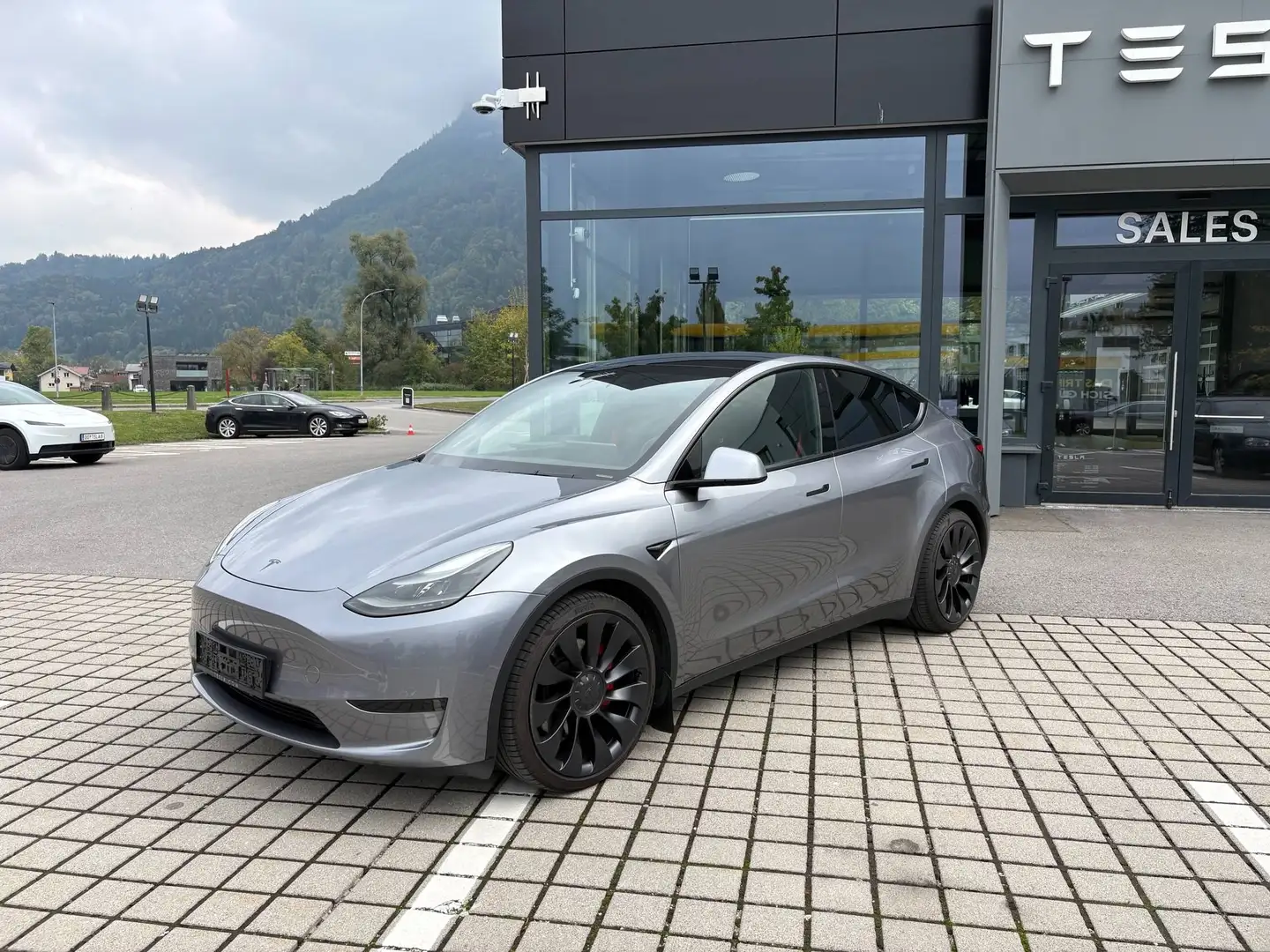 Tesla Model Y Model Y AWD PERFORMANCE MwSt. ausweisbar Silber - 1