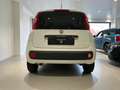 Fiat Panda 1.3 mjt 16v Easy s Bianco - thumbnail 6