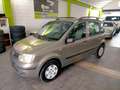 Fiat Panda Panda 1.2 Alessi Bronze - thumbnail 1