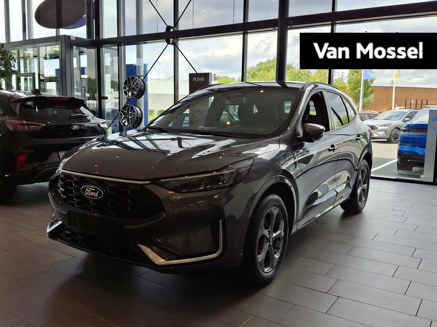 Ford Kuga 2.5 PHEV ST-Line X | Winterpack | Driverpack | Hea - 1