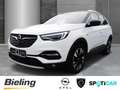 Opel Grandland X , Ultimate 1.2 Direct Injection Turbo, Weiß - thumbnail 1