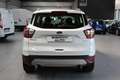 Ford Kuga 1.5 EcoBoost 120 CV S&S 2WD Titanium Bianco - thumbnail 5