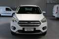 Ford Kuga 1.5 EcoBoost 120 CV S&S 2WD Titanium Bianco - thumbnail 2